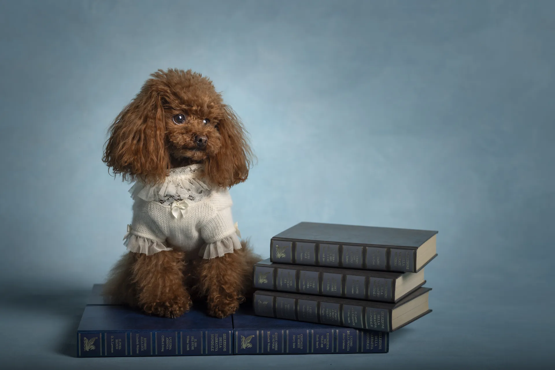 Fotografia Animali *azione* *cosa* *dove*